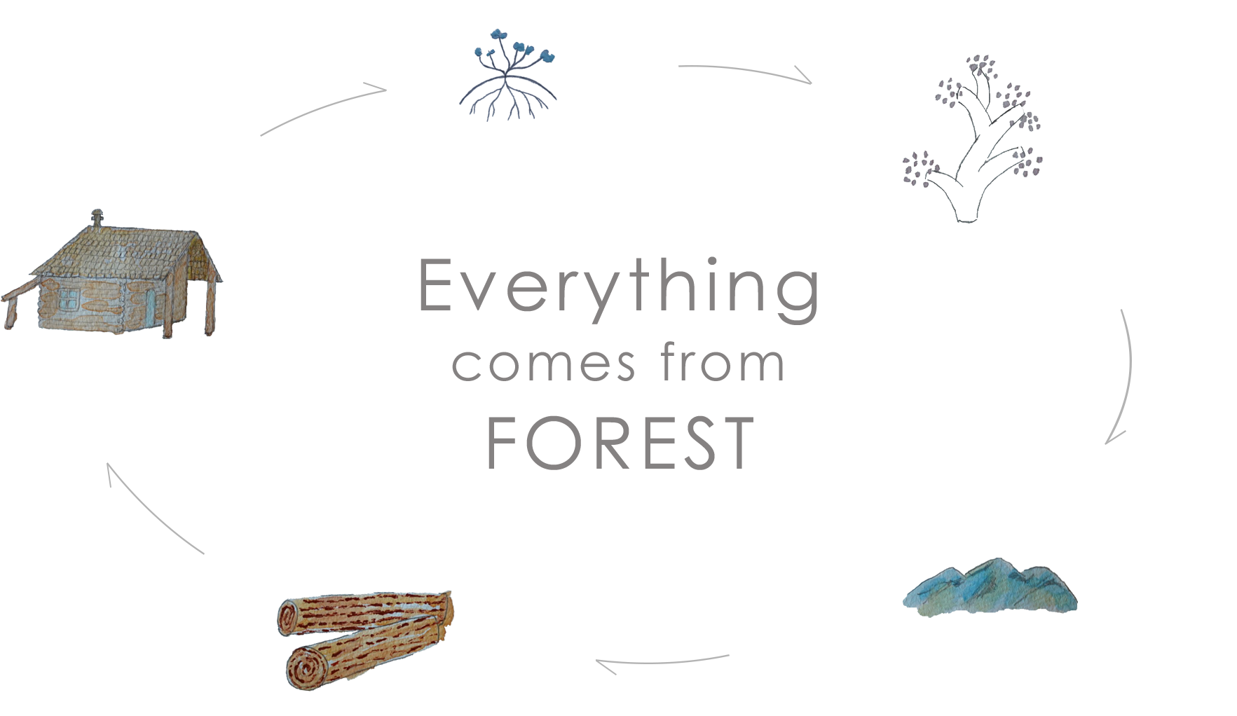 すべては森から生まれるイラスト